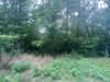 0 Thaxted Dr photo